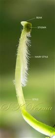  Style and Stigma
